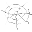 Spider Trap